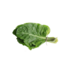 Acelga (amarro)
