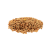 Lenteja